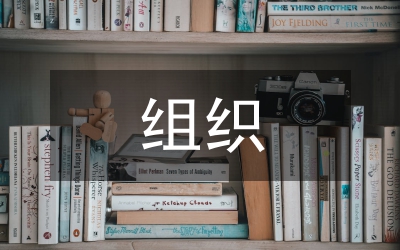 國(guó)際會(huì)議在線組織模式探討