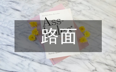 寧夏農(nóng)村公路路面結(jié)構(gòu)型式透析