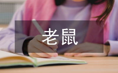 大個(gè)子老鼠小個(gè)子貓讀后感