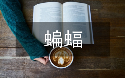 蝙蝠和雷達(dá)教學(xué)設(shè)計(jì)