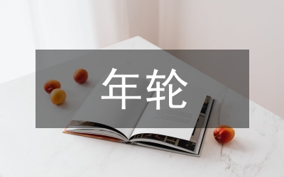 國土局三年輪審工作計(jì)劃