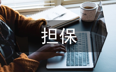 物權(quán)法擔(dān)保物權(quán)編之評(píng)價(jià)