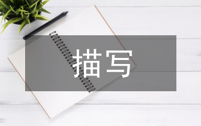 描寫牧童的詩(shī)