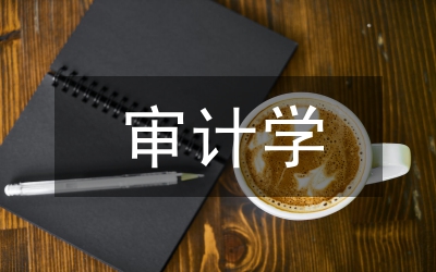 審計(jì)學(xué)論文