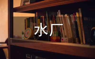 水廠正常供水會議紀(jì)要