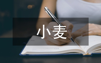 小麥高產(chǎn)方案