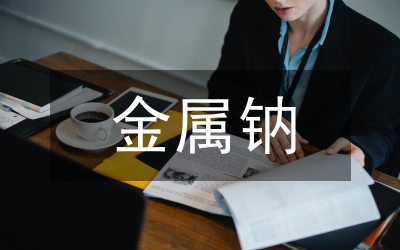 金屬鈉的探索化學教案