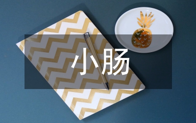 外傷性小腸破治療研究論文