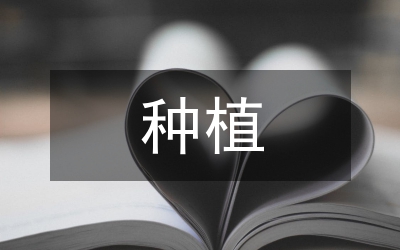 種植苜蓿草現(xiàn)狀及發(fā)展措施