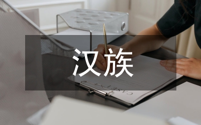 民族地區(qū)與漢族地區(qū)公民政治參與對比