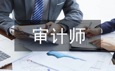 審計(jì)師論文
