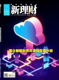 新理財(cái)·政府理財(cái)