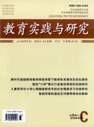 教育實(shí)踐與研究(C)