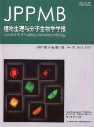 植物生理與分子生物學(xué)
